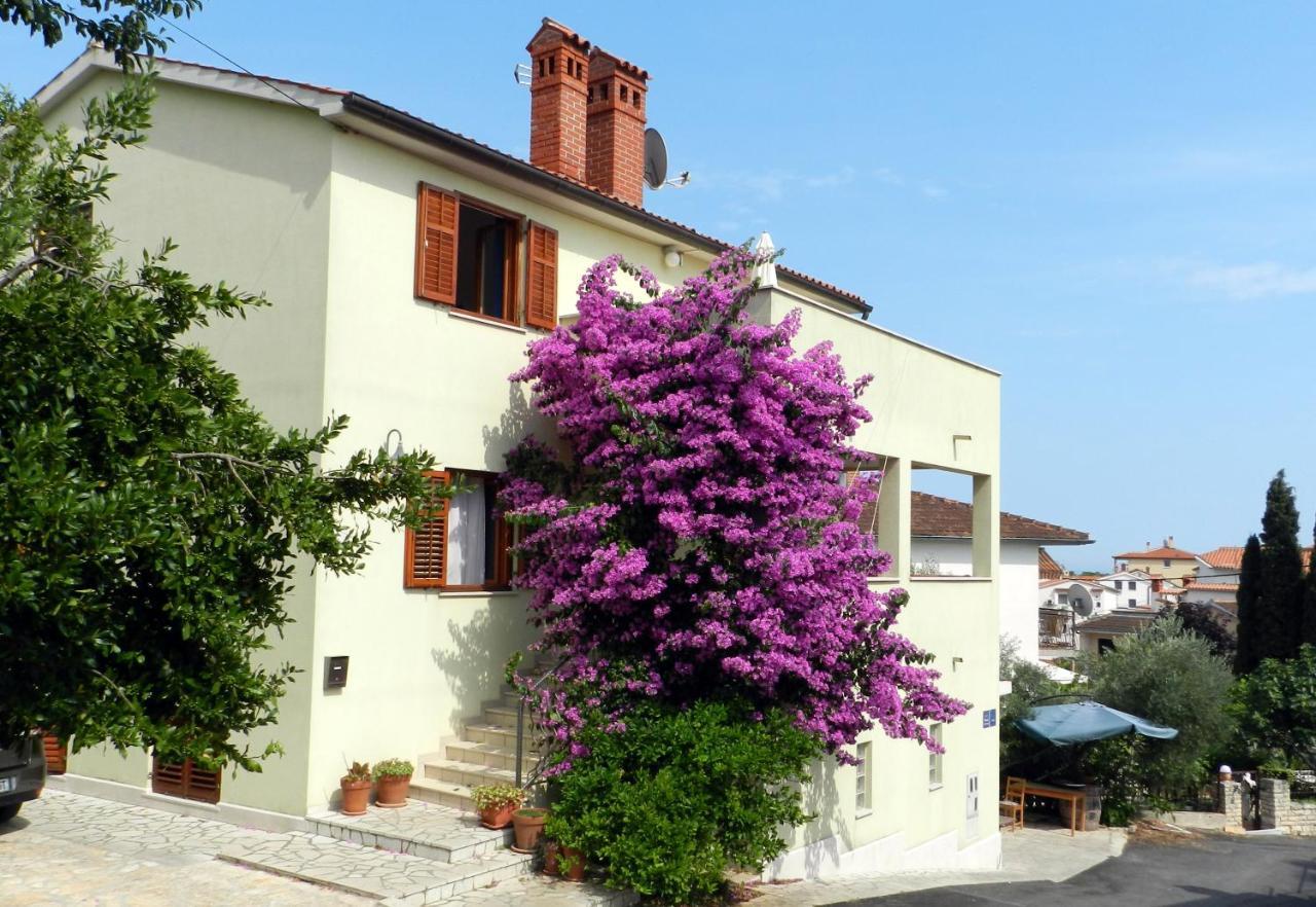 Mata Apartma Premantura