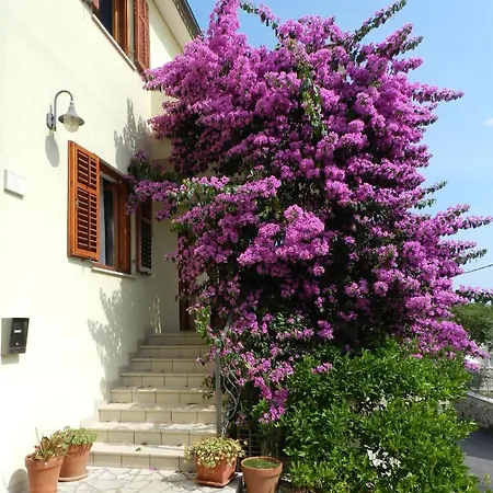 Mata Apartments Premantura Exterior photo