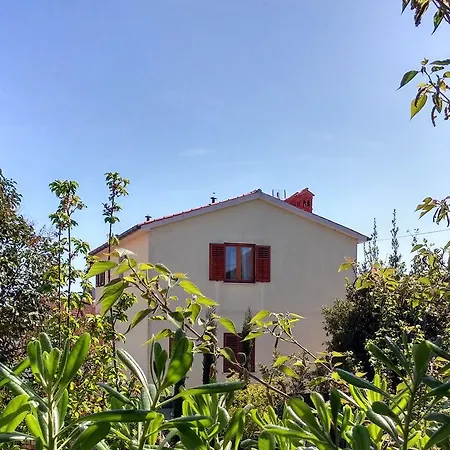 Mata Apartments Premantura Exterior photo