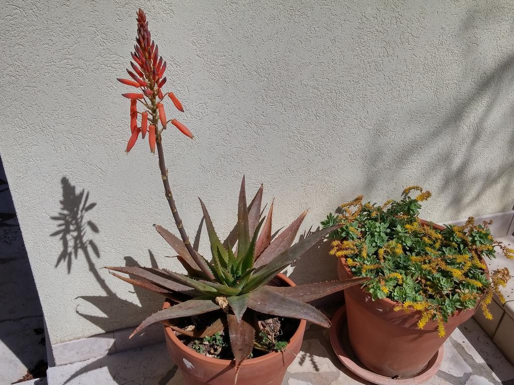 Appartement Mata *